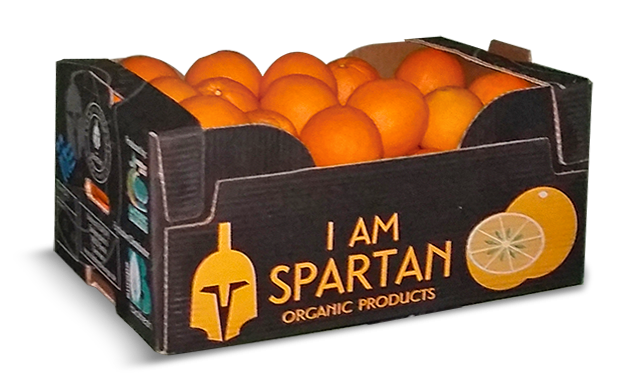 Fresh oranges box